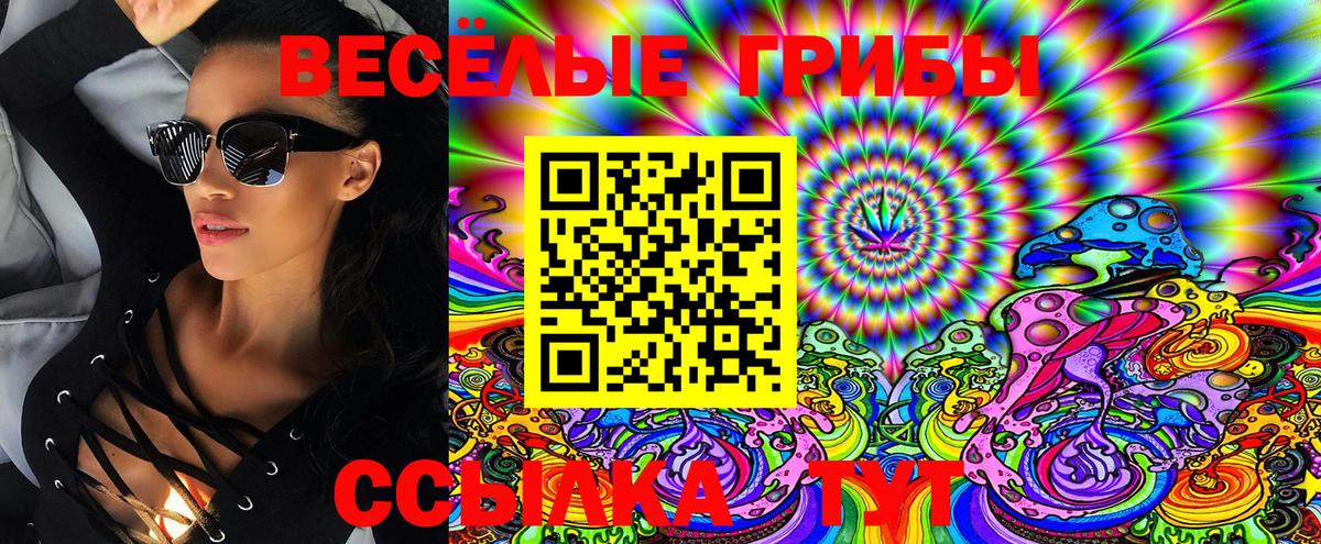 Псилоцибиновые грибы Cubensis Озёрск